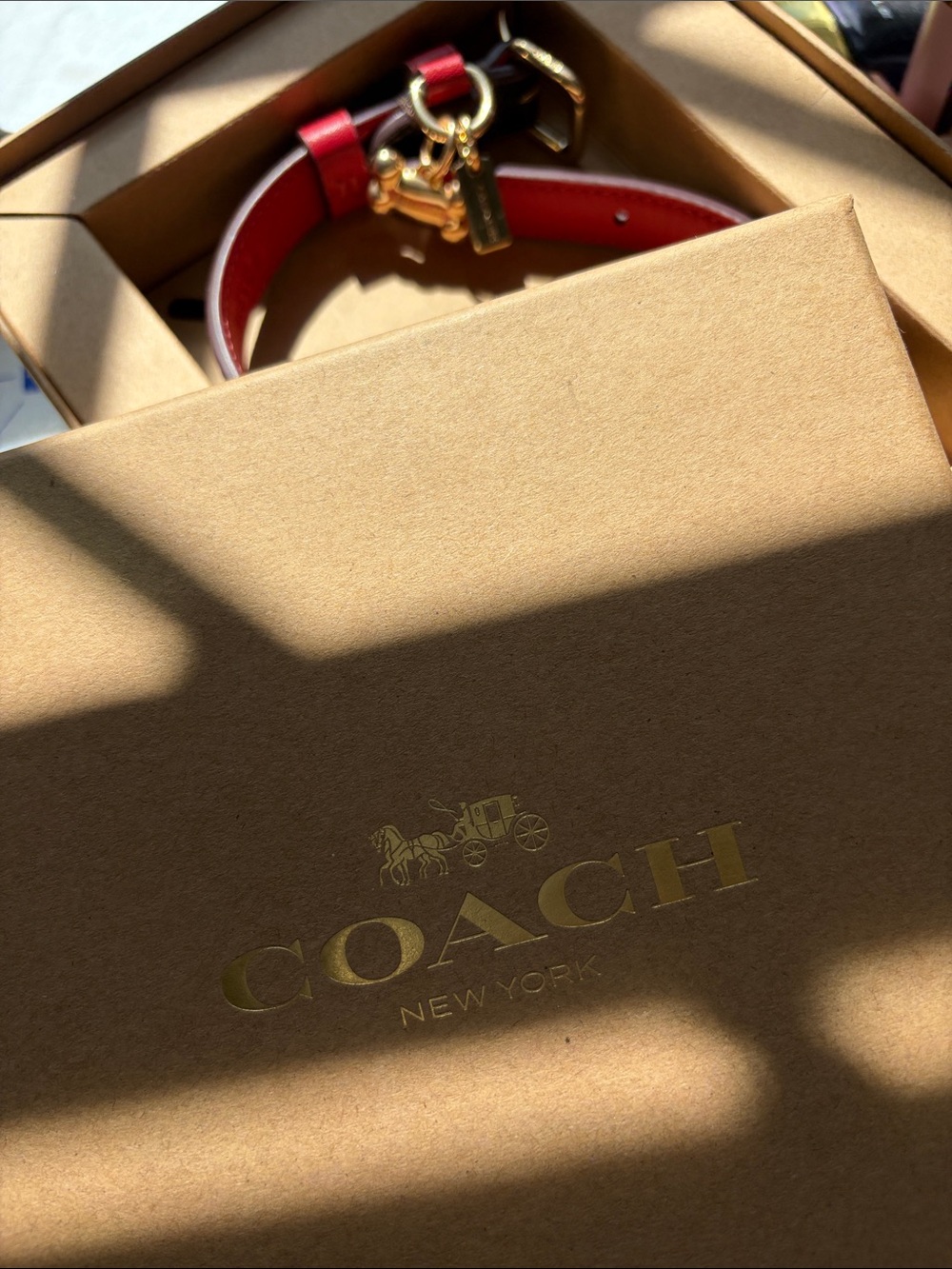 NWT Coach Signature Brown/Red Leather Collar S/M Gold Hardware in Box